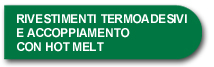 thermo adhesive coatings & hot melt lamination